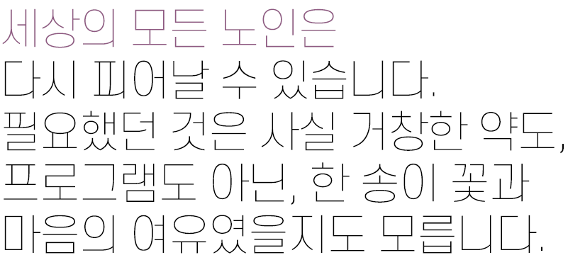 꽃과-노인