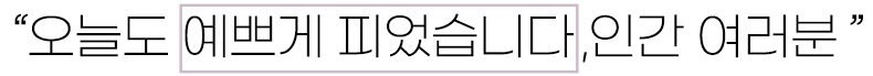 노인-우울증치료