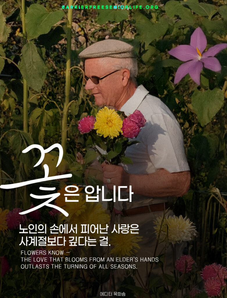 노인-원예치료