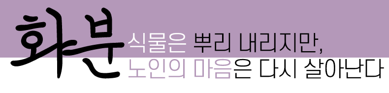 화분-원예치료
